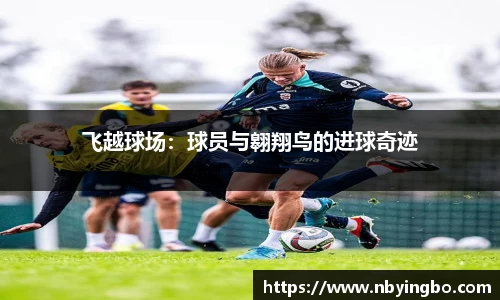 MK体育在线投注